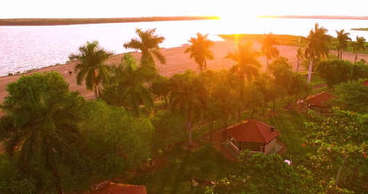 Foto da natureza